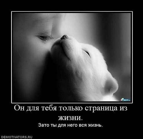 http://cs9302.vkontakte.ru/u56810494/103728084/x_f7b9a9fe.jpg